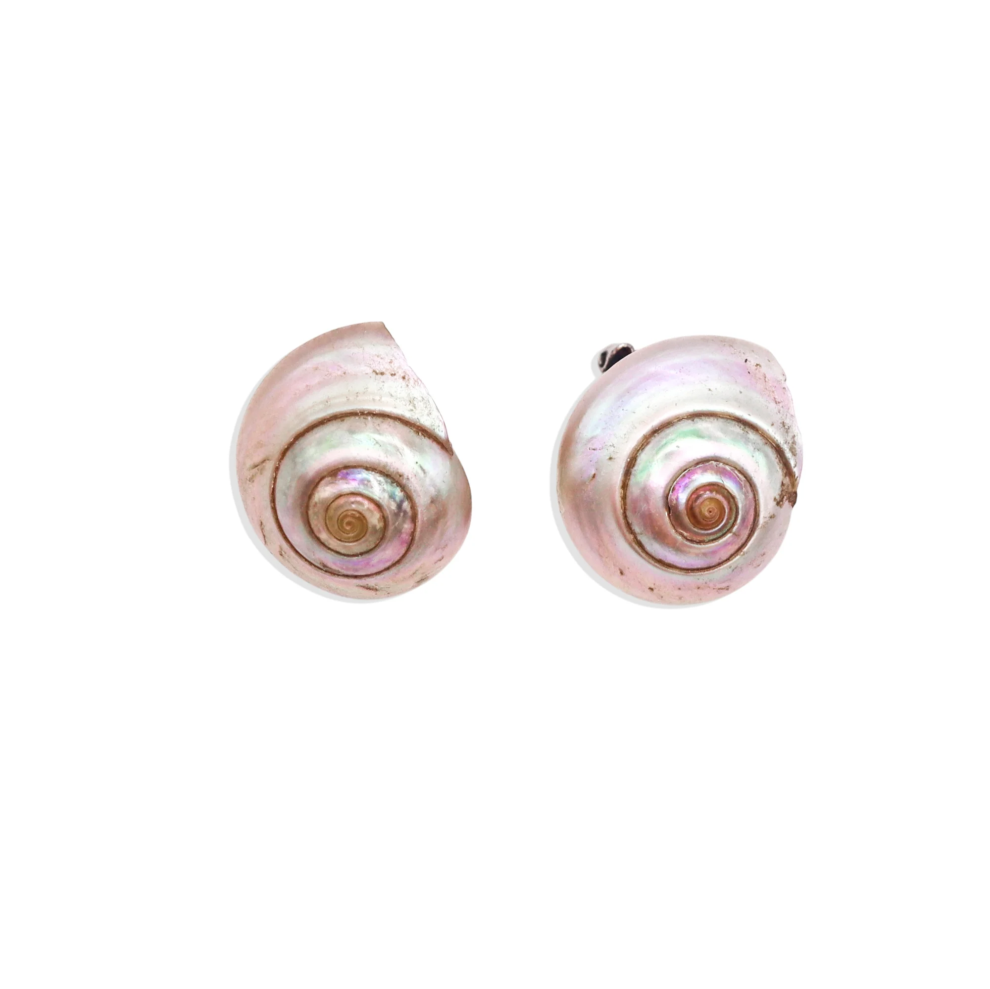 [Vintage Shell Drop] Nereid Earrings