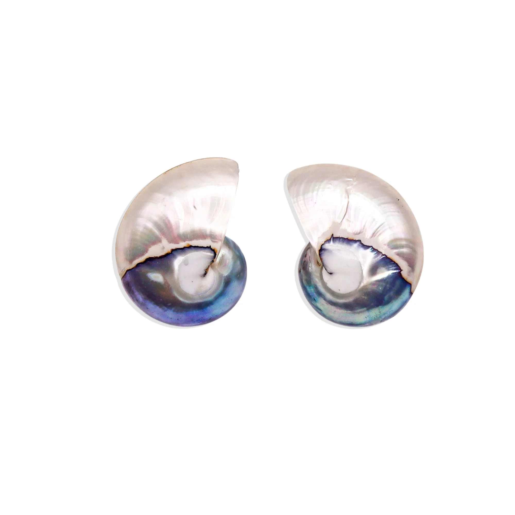 [Vintage Shell Drop] Something Blue Earrings